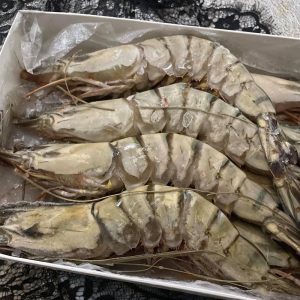 Crevettes tigrées 6/8 (1 lb)