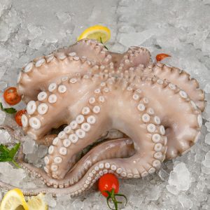 Pieuvre T3 (2-3 kg) - Commande spéciale